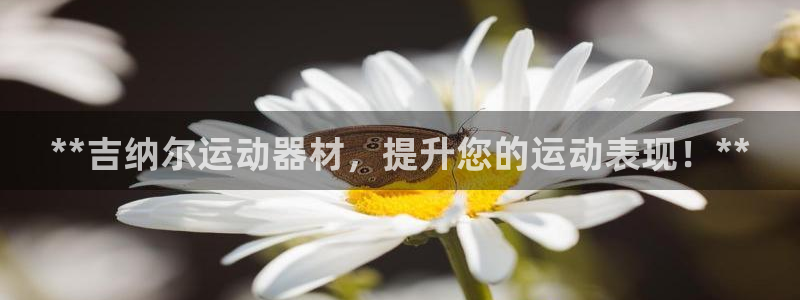 意昂体育3招商电话地址：**吉纳尔运动器材，提升您的