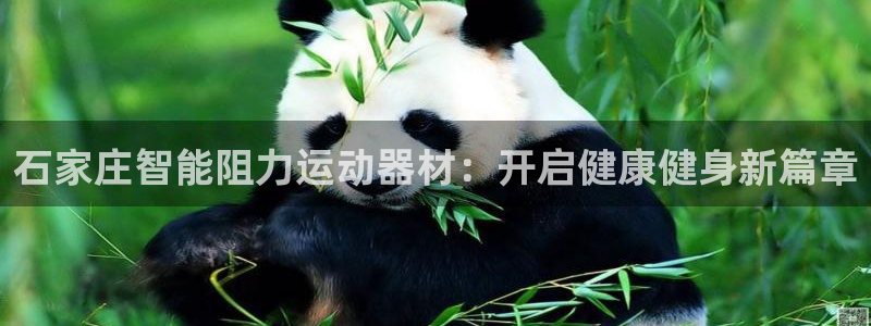 意昂体育3联系电话：石家庄智能阻力运动器材：开启健康健身新篇