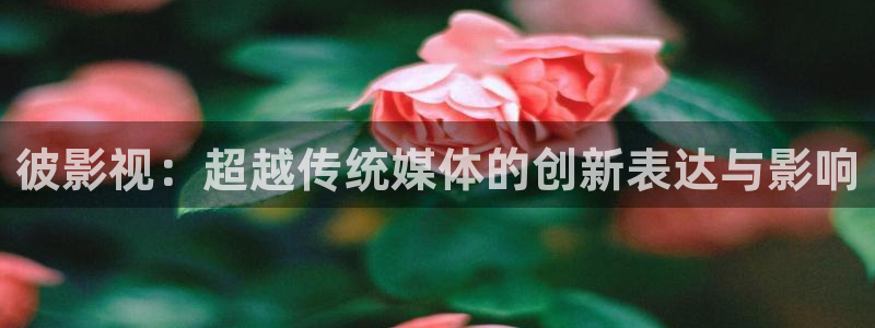 熊猫影院在线视频观看：彼影视：超越传统媒体的创新表达与影响