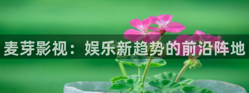 熊猫电影yy8y8高清版怎么看：麦芽影视：娱乐新趋势的前沿阵地