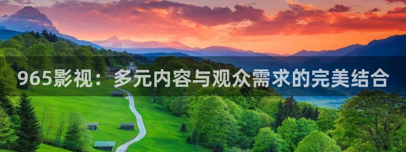 熊猫电影xm66免费播放：965影视：多元内容与观众需求的完美结合