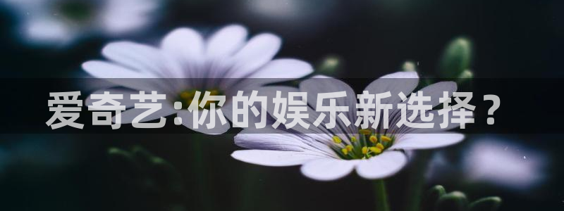 熊猫视频网：爱奇艺:你的娱乐新选择？
