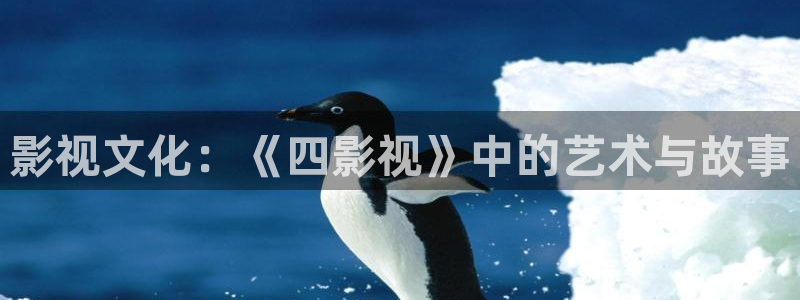 熊猫老师：影视文化：《四影视》中的艺术与故事