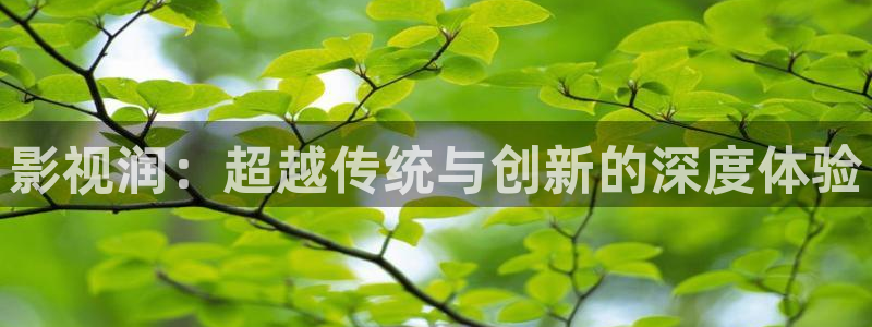 熊猫看：影视润：超越传统与创新的深度体验