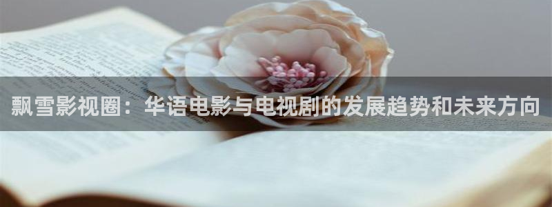 小熊猫电影：飘雪影视圈：华语电影与电视剧的发展趋势和未来方向