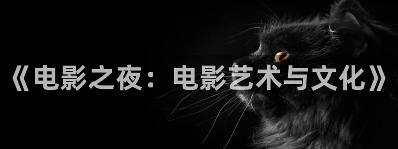 熊猫电影y8y8(4)：《电影之夜：电影艺术与文化》