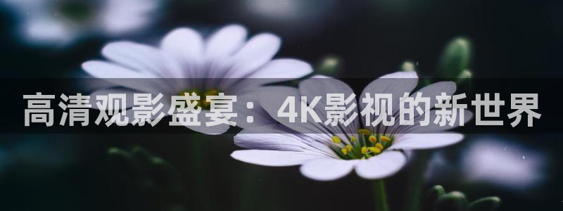 熊猫看：高清观影盛宴：4K影视的新世界