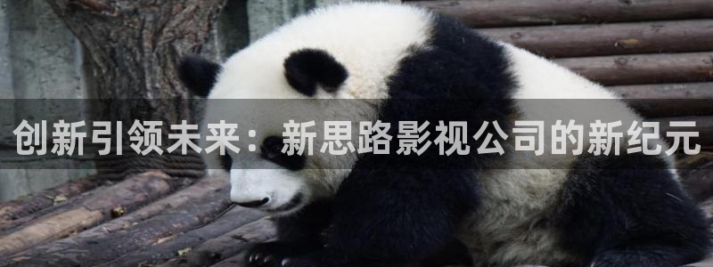 熊猫熊猫：创新引领未来：新思路影视公司的新纪元